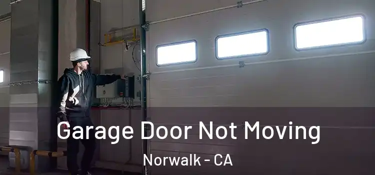  Garage Door Not Moving Norwalk - CA